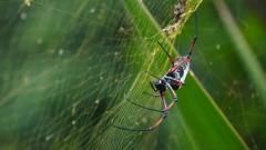 Madagaskar copyright piotr nogal 20191116_083649