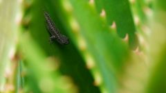 Madagaskar copyright piotr nogal 20191116_083937