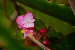 Madagaskar copyright piotr nogal 20191116_084051