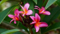 Madagaskar copyright piotr nogal 20191116_084741