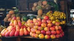 Madagaskar copyright piotr nogal 20191116_110048