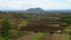Madagaskar copyright piotr nogal 20191118_090508
