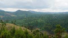 Madagaskar copyright piotr nogal 20191120_102125 Madagaskar copyright piotr nogal 20191120_102125