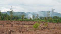 Madagaskar copyright piotr nogal 20191120_104919 Madagaskar copyright piotr nogal 20191120_104919