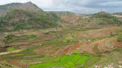Madagaskar copyright piotr nogal 20191120_120409 Madagaskar copyright piotr nogal 20191120_120409