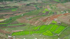 Madagaskar copyright piotr nogal 20191120_120413 Madagaskar copyright piotr nogal 20191120_120413