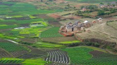 Madagaskar copyright piotr nogal 20191120_120720 Madagaskar copyright piotr nogal 20191120_120720