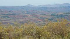 Madagaskar copyright piotr nogal 20191121_083033