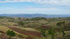 Madagaskar copyright piotr nogal 20191121_084809 Madagaskar copyright piotr nogal 20191121_084809