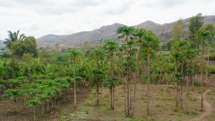 Madagaskar copyright piotr nogal 20191123_094553