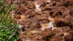 Madagaskar copyright piotr nogal 20191124_105221