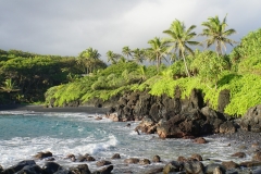 hawaii 030 copyright piotr nogal