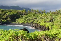 hawaii 032 copyright piotr nogal