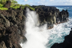hawaii 033 copyright piotr nogal