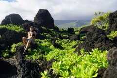 hawaii 036 copyright piotr nogal
