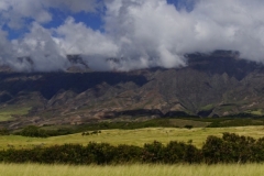hawaii 100 copyright piotr nogal