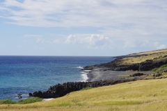 hawaii 103 copyright piotr nogal