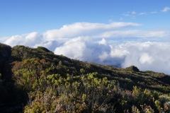 hawaii 125 copyright piotr nogal