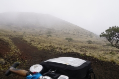 hawaii 248 copyright piotr nogal