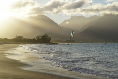 hawaii 323 copyright piotr nogal