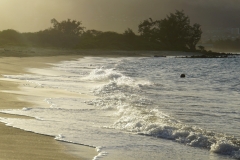 hawaii 324 copyright piotr nogal