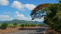 Mauritius copyright piotr nogal 20191128_091311