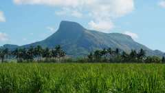 Mauritius copyright piotr nogal 20191128_091529