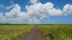 Mauritius copyright piotr nogal 20191128_112143