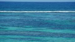 Mauritius copyright piotr nogal 20191128_122201