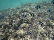 DCIM\100GOPRO\GOPR1298.JPG