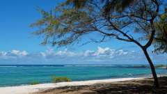 Mauritius copyright piotr nogal 20191128_135037