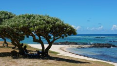 Mauritius copyright piotr nogal 20191128_140112