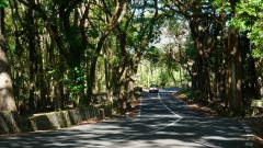 Mauritius copyright piotr nogal 20191128_152346