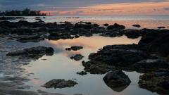 Mauritius copyright piotr nogal 20191128_182151