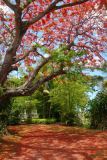 Mauritius copyright piotr nogal 20191129_120603