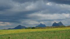 Mauritius copyright piotr nogal 20191129_151226