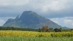 Mauritius copyright piotr nogal 20191129_152704