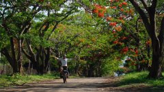 Mauritius copyright piotr nogal 20191129_154607