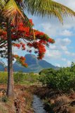 Mauritius copyright piotr nogal 20191129_155808