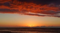 Mauritius copyright piotr nogal 20191129_183113