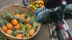 Mauritius copyright piotr nogal 20191130_135012