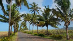 Mauritius copyright piotr nogal 20191201_090119
