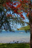 Mauritius copyright piotr nogal 20191201_101417
