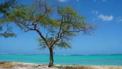 Mauritius copyright piotr nogal 20191201_103453