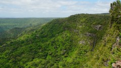 Mauritius copyright piotr nogal 20191201_143805