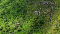 Mauritius copyright piotr nogal 20191201_144854