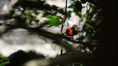 Mauritius copyright piotr nogal 20191202_140926