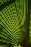 Mauritius copyright piotr nogal 20191202_145729