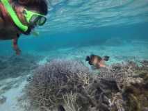 DCIM\100GOPRO\GOPR1441.JPG