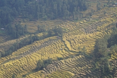 017-Nepal-annapurna-copyright-piotr-nogal